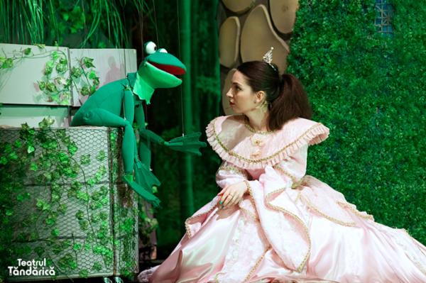 PRINȚESA ȘI BROSCOIUL Teatrul de Animatie Țăndărică - Sala Lahovari