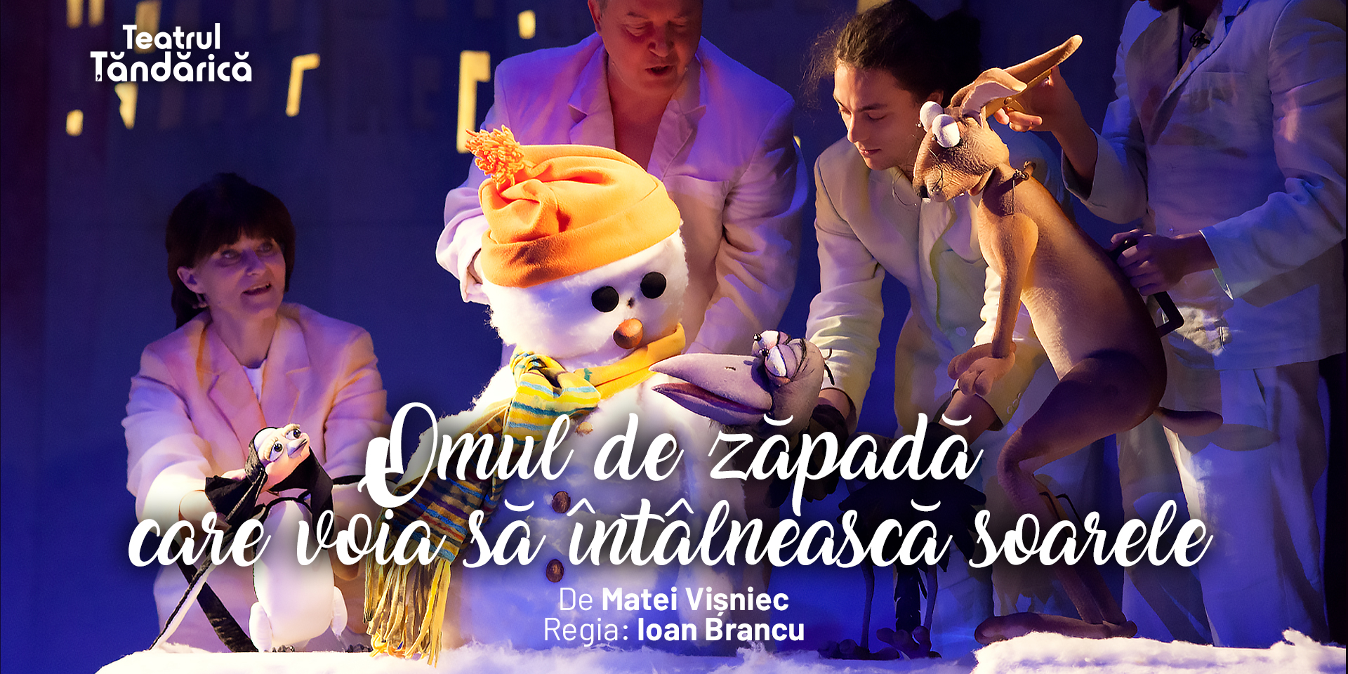 Omul de zapada care voia sa intalneasca soarele