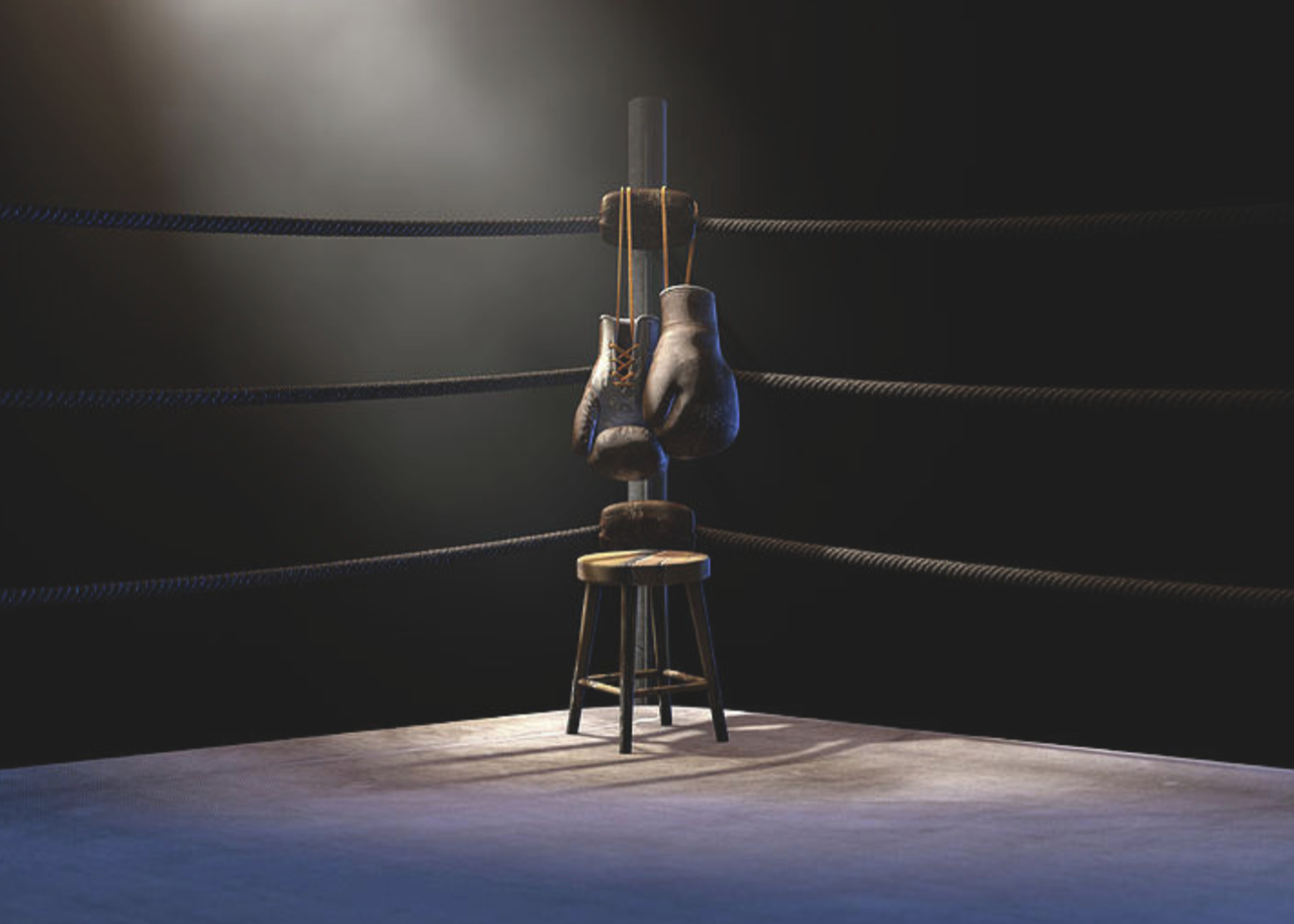 KNOCKOUT. Dulcea știință de a face vânătăi