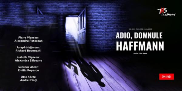 Adio, domnule Haffmann TNB - Sala Pictură