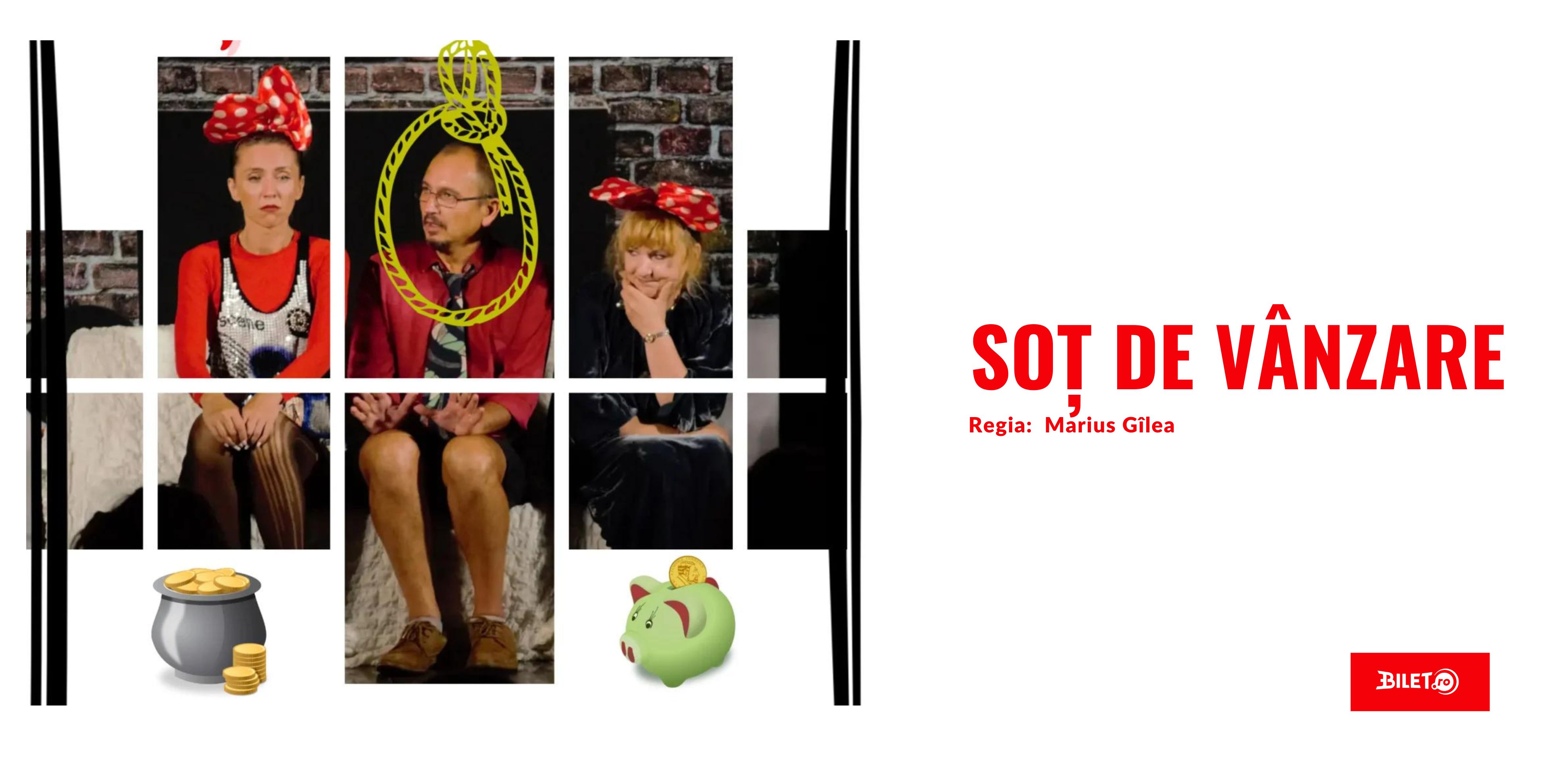 Sot de vanzare 