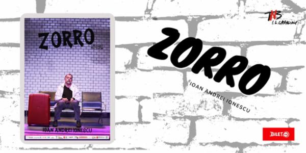 Zorro TNB - Sala Pictură