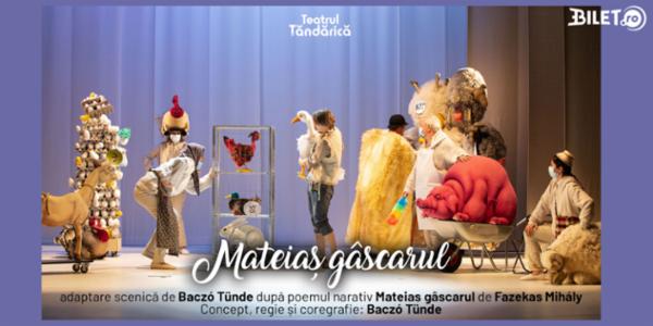 MATEIAS GASCARUL Teatrul de Animatie Țăndărică - Sala Lahovari