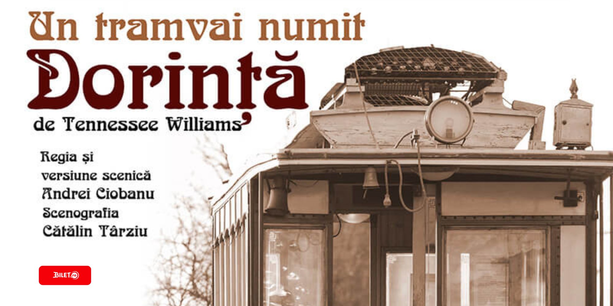 UN TRAMVAI NUMIT DORINTA | Regia Andrei Ciobanu