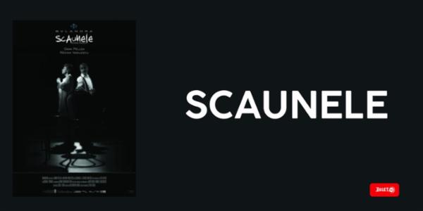 Scaunele Teatrul Bulandra - Sala Toma Caragiu