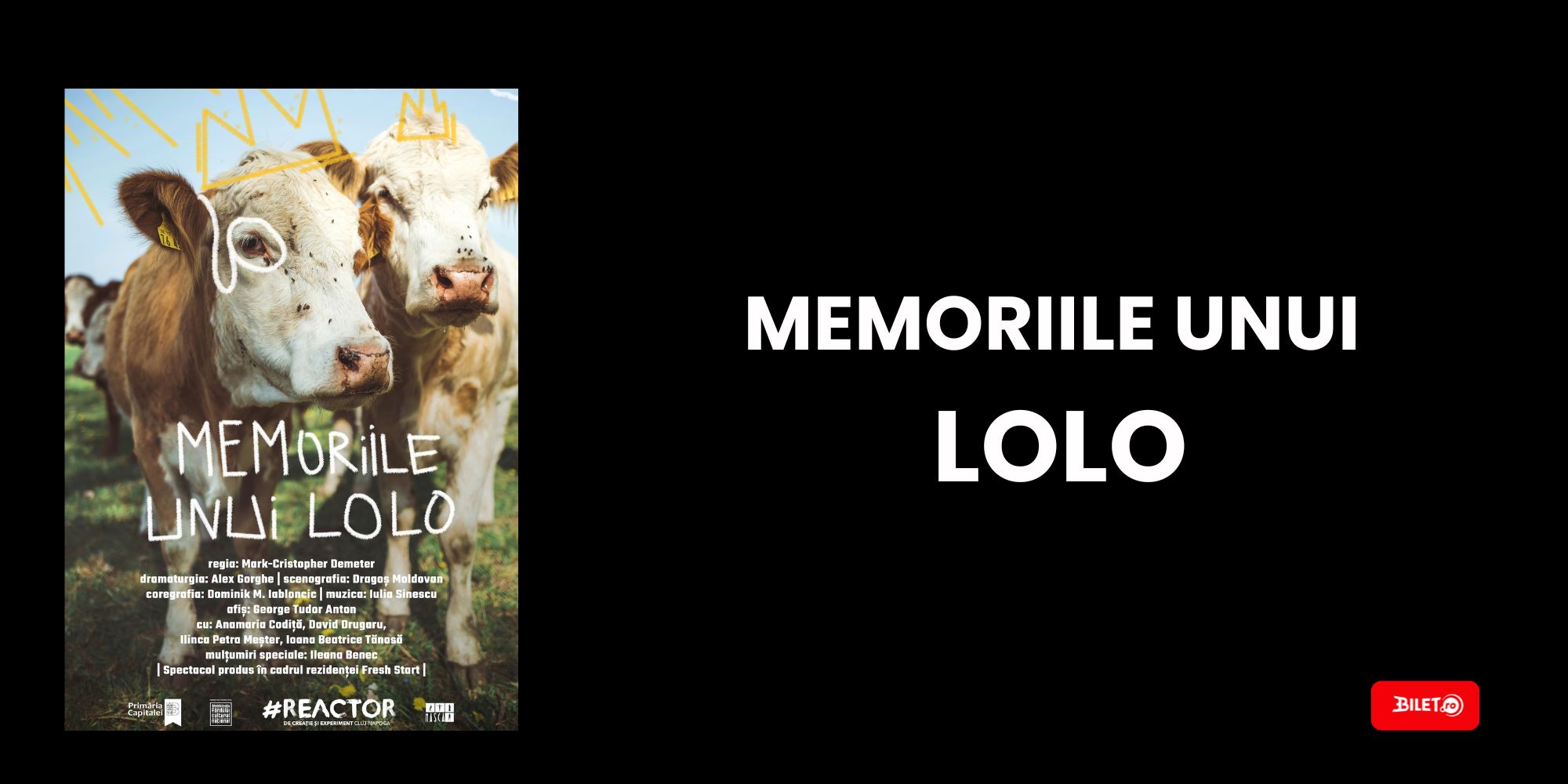 Memoriile unui lolo
