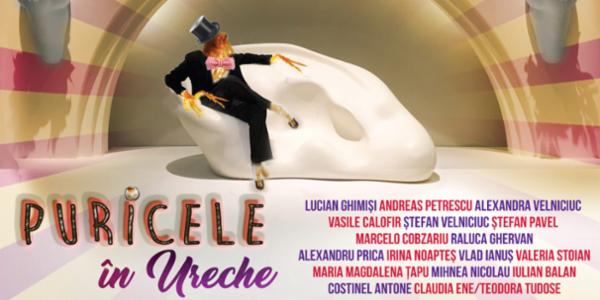 Puricele in ureche Teatrul Elisabeta