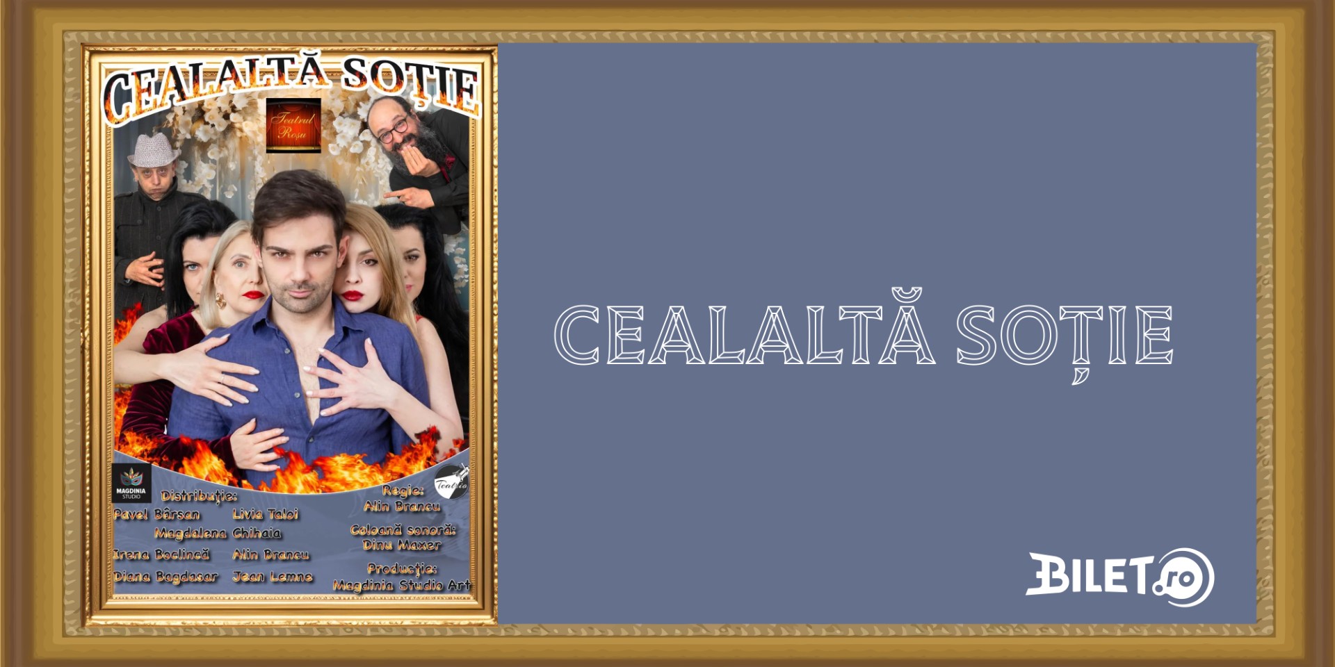 Cealalta sotie