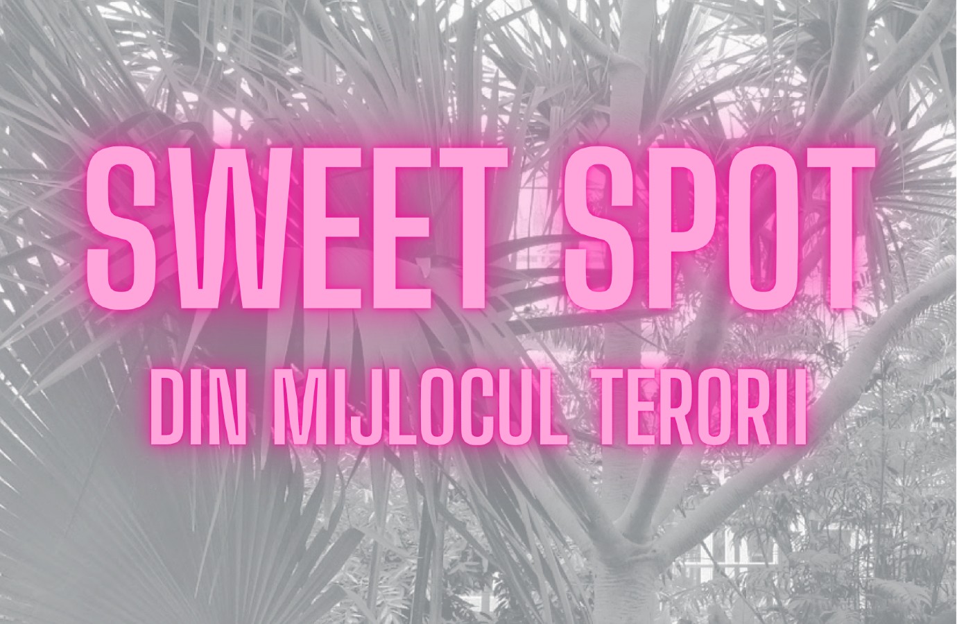 Sweet Spot (din mijlocul terorii) – exercițiu sintetic de divertisment