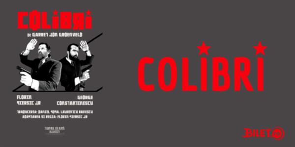 COLIBRI de Garret Jon Groenveld Teatrul de Artă București