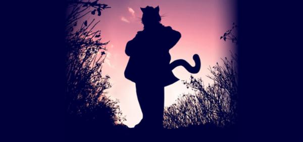 Motanul Incaltat Sala Mare ONB