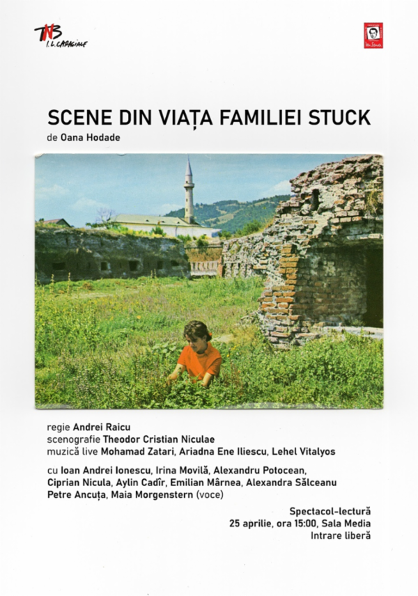 Scene din viața Familiei Stuck (spectacol lectură) TNB - Sala Media