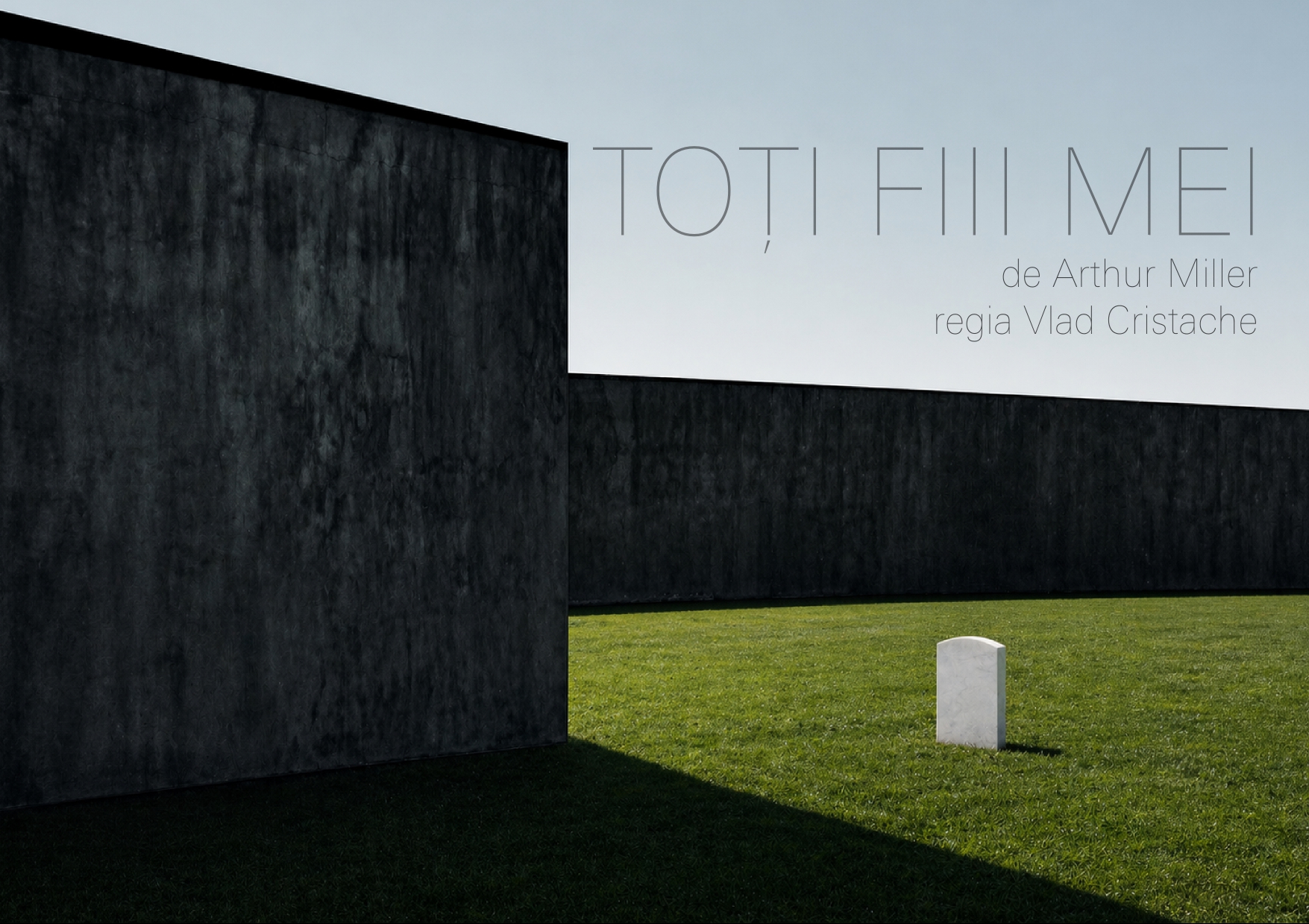 TOȚI FIII MEI