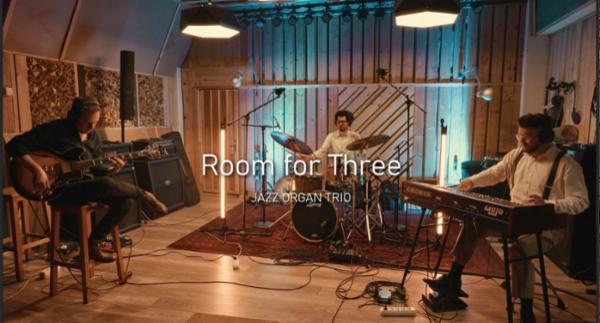 ROOM FOR THREE Gradina Green Hours
