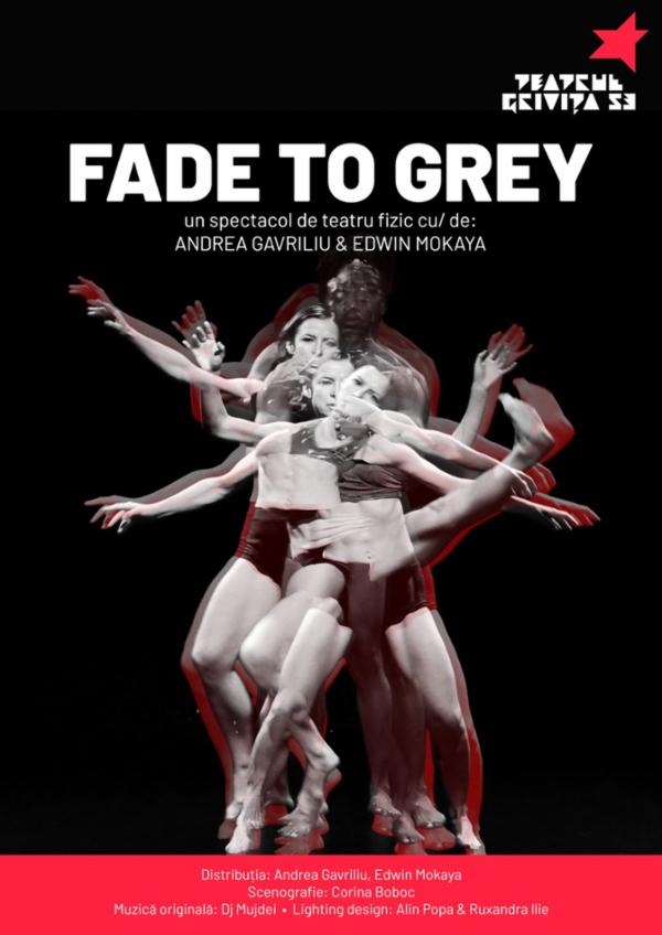 FADE TO GREY Teatru Grivita 53 - Sala Studio