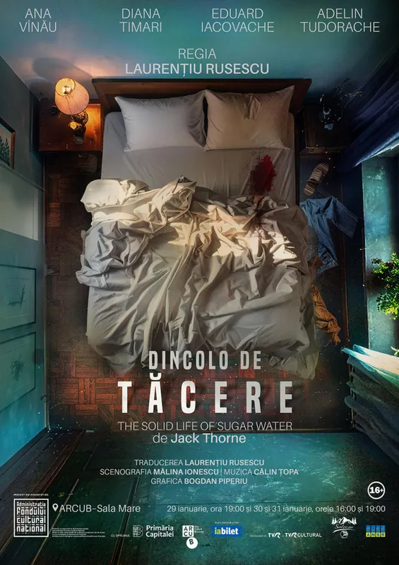 Dincolo de tăcere - SEAS 2026 Sala Studio - Str.I.Lahovari 2A, Constanța