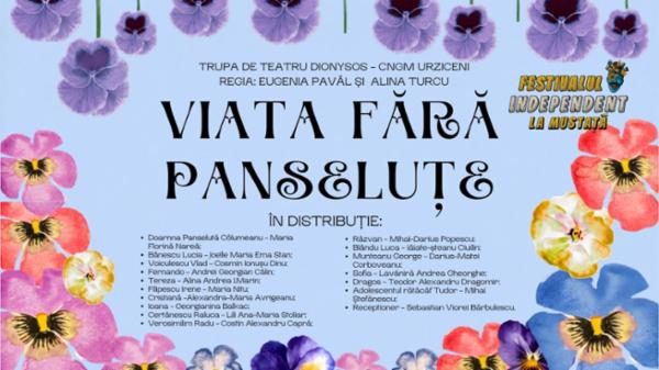 Viața fără panseluțe Teatrul Amzei