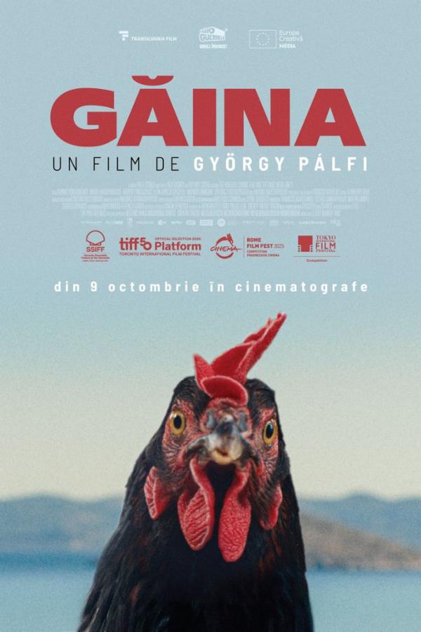 Găina – Hen – (regia György Pálfi) – PREMIERĂ – AP 12 Sala Mare de Spectacole ,,Radu Beligan'' Ateneul din Iași