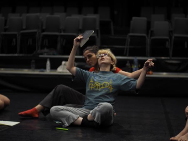 Suntem teatre anatomice (Festivalul Iridescent) CNDB - Sala Stere Popescu