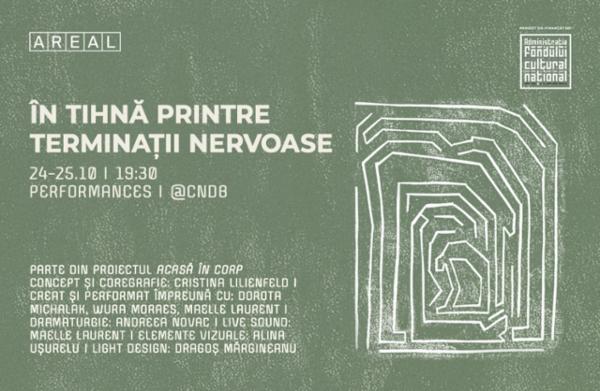 În tihnă printre terminații nervoase CNDB - Sala Stere Popescu