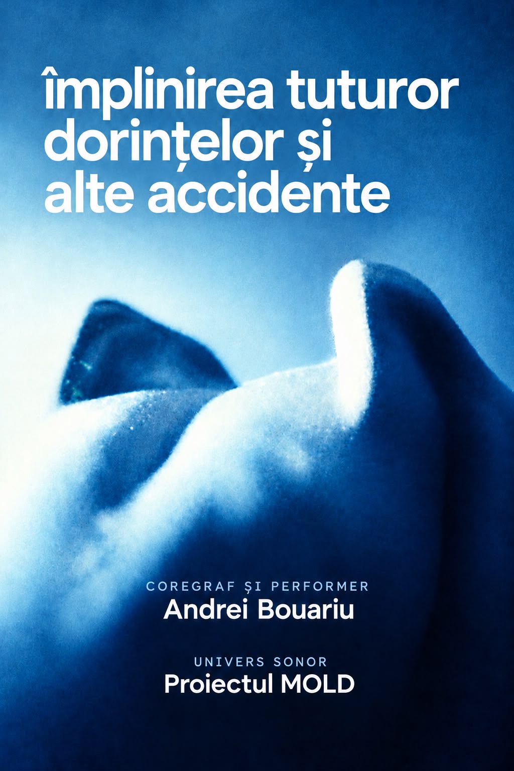Implinirea tuturor dorințelor și alte accidente