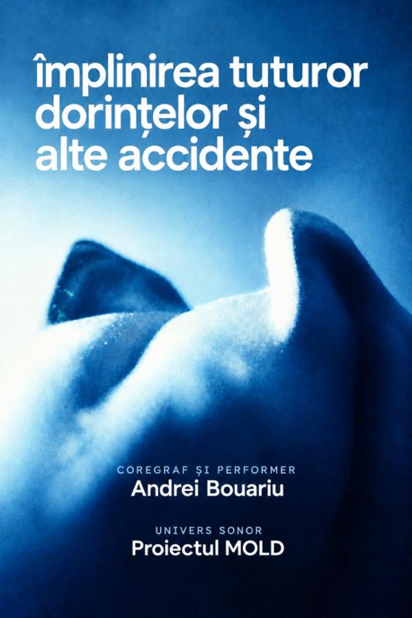 Implinirea tuturor dorințelor și alte accidente Teatrul Griviței 53