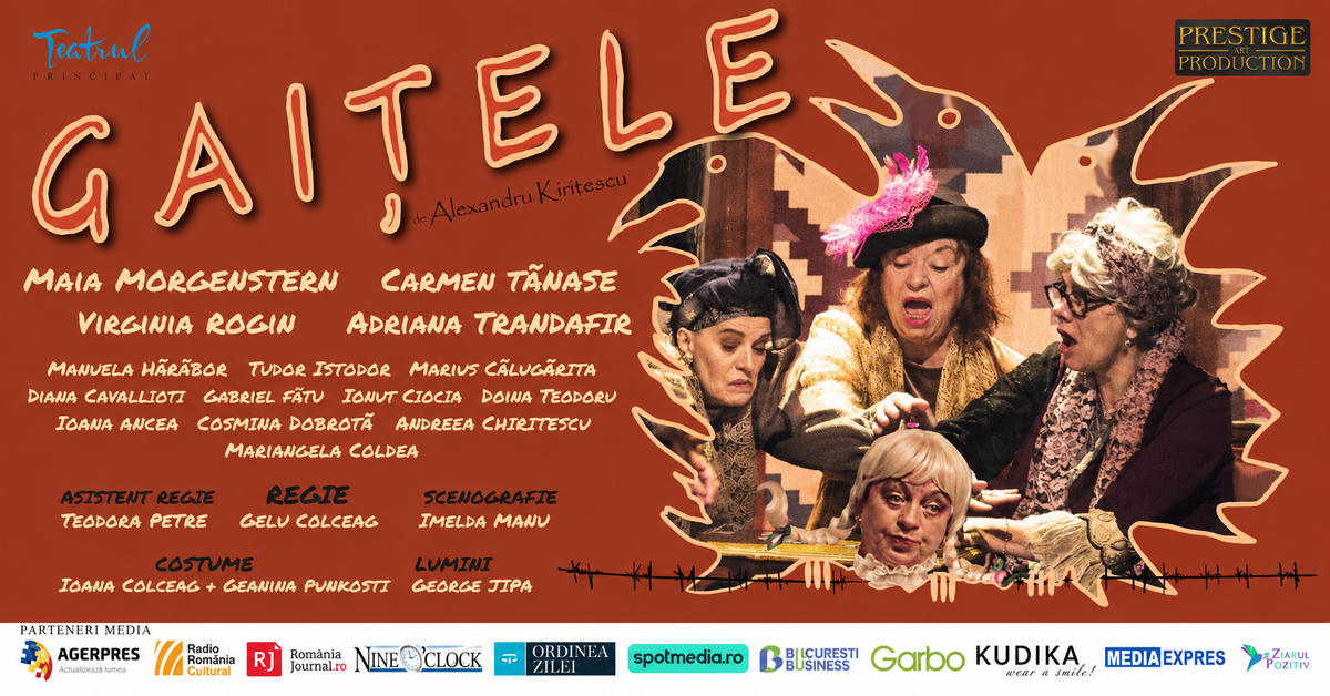 GAITELE | BRAILA